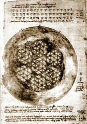 la flor de la vida da vinci