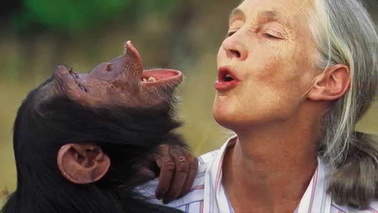 Resultado de imagen de Jane Goodall