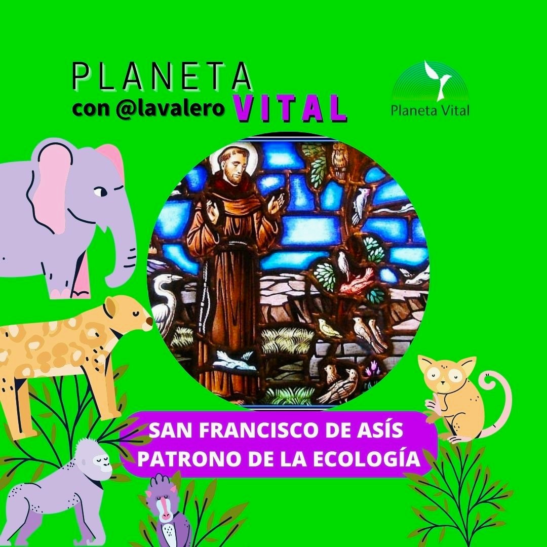 San Francisco de Asís, patrono de la Ecología - Planeta Vital | En conexión  positiva con nuestro ecosistema